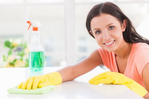 Professional cleaners NW1 providing detailed cleaning in a local property