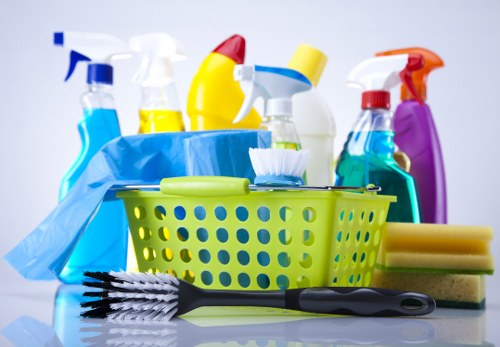 Professional cleaners in NW1 working in a modern London home
