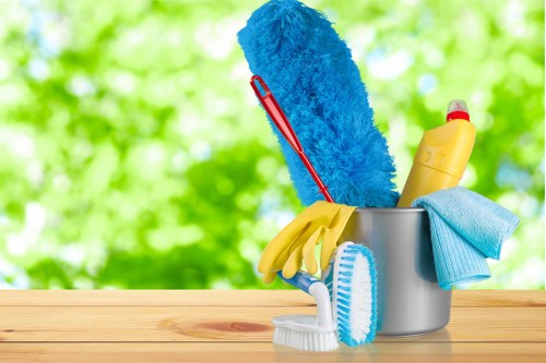 Supervisor reviewing safe cleaning practices during a service visit