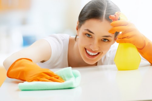 Professional end of tenancy cleaning checklist for a London rental property