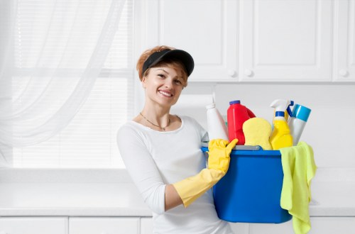 Professional carpet cleaning service in a NW1 home