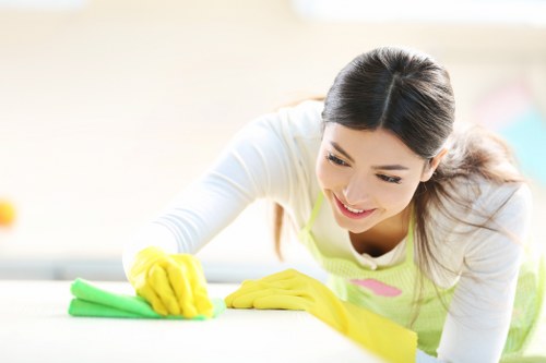 Professional cleaners introducing the About Us Cleaners NW1 service