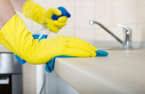 Deep cleaning support from a cleaner in NW1